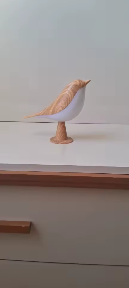 Svala i riktiga hem